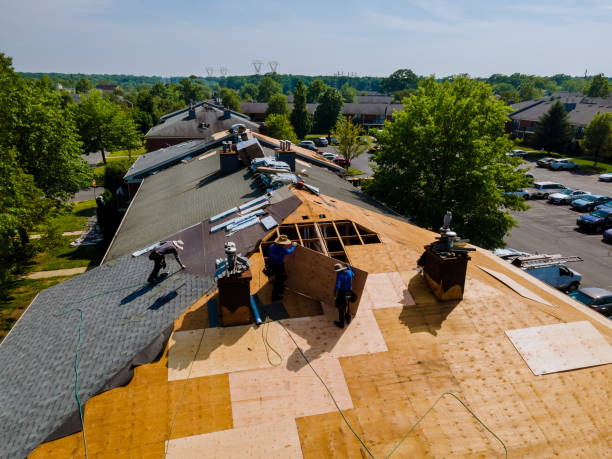 Best Storm Damage Roof Repair  in Lansing, KS